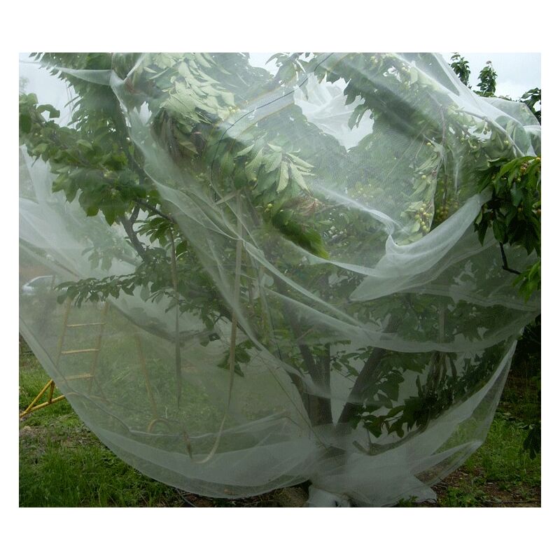 Filet anti-insecte Alt'Droso - Nappe Taille Filet: 10 x 10 m