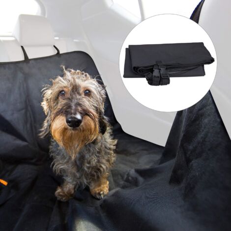 Voiture de couverture de chien