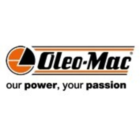 Volant d'inertie pour tronçonneuse modèles 935 938 941 094100151R OLEMAC