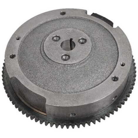 Volant d'inertie STIGA ORIGINAL moteur de tracteur de pelouse 1328H 118550234/2