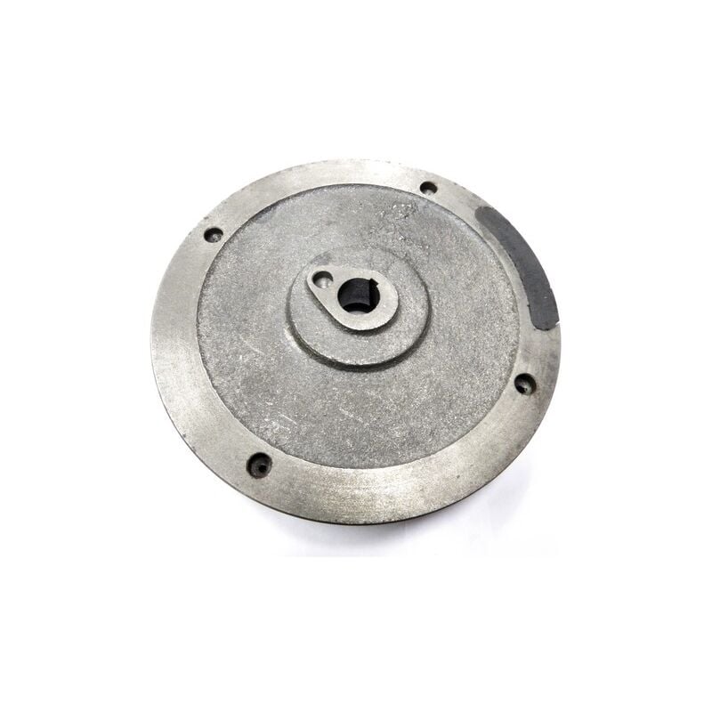 Global Garden Product - Volant magnétique moteur ggp - 118550169/0