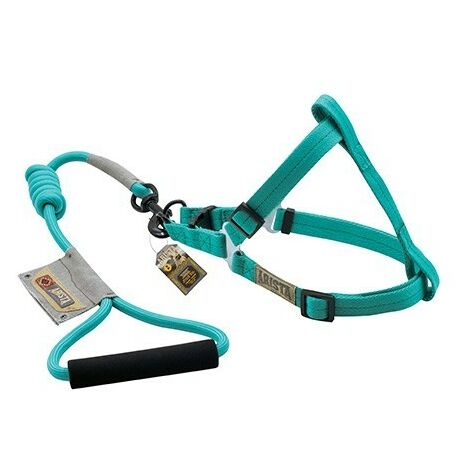 Von Zeus Arn_ s Arista und Correa Round S Aqua 1.5x35-55 cm
