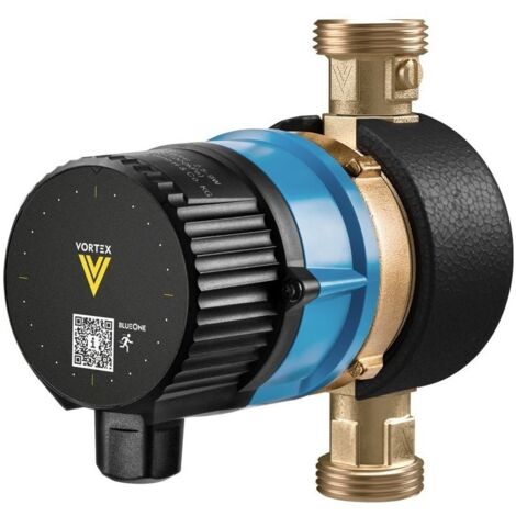Vortex Pumpe BWO 155 RW mit Ventilen Anschluss 1"a, mit Dauerläufermodul