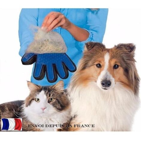 Votre Chien va adorer ce Gant Brosse de Massage Toilettage qui enlève les poils Vous Aussi 