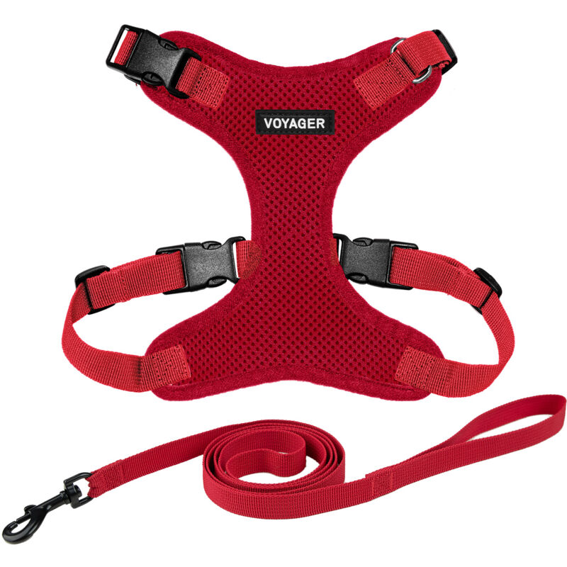 Best Pet Supplies - Voyager Step-in Lock Katzengeschirr Und Reflektierende Katzenleine Mit Neoprengriff By Unterstützt Kleine, Mittelgroße Und