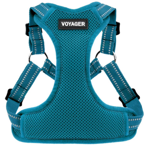 Voyager Verstellbares Hundegeschirr mit Reflektorstreifen by Best Pet Supplies - Strapazierfähige Ganzkörperweste ohne Zugkraft mit Leinen-D-Ring, atmungsaktiv, Türkis, size XS