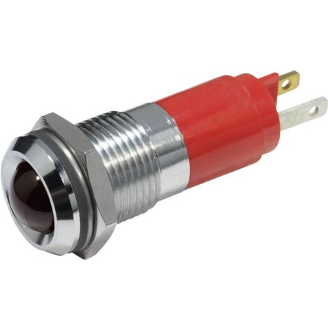 Voyant de signalisation LED CML 19210250 rouge 12 V/DC 20 mA 1 pc(s)
