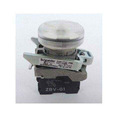 Voyant de signalisation lumineux DELintégrée Atex cabochon dépassant lisse blanc Ø 22mm Harmony XB4 SCHNEIDER ELECTRIC XB4BVG1EX
