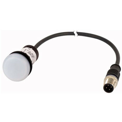 Voyant lumineux blanc 24 V avec câble 1m et connecteur mâle M12A EATON C22-L-W-24-P5