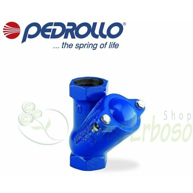 

Pedrollo - VR-FT 2 - Válvula de retención de bola de 2'