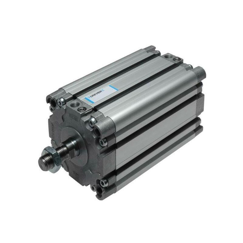 Univer - RM2000630025 Vérin profilé Longueur de course: 25 mm 1 pc(s) D855551