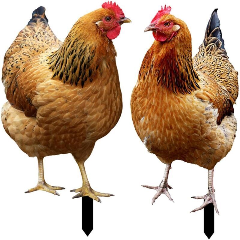Vtizikl Lot de 2 piquets de jardin en forme de poule-Décoration en acrylique-Pour jardin,pelouse