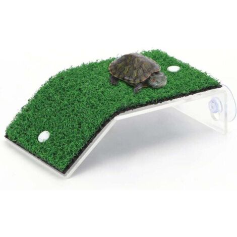 Vtizikl Plateforme de lézardage pour tortues, échelle d'escalade réaliste pour petit reptile, L 8 x l 14 cm