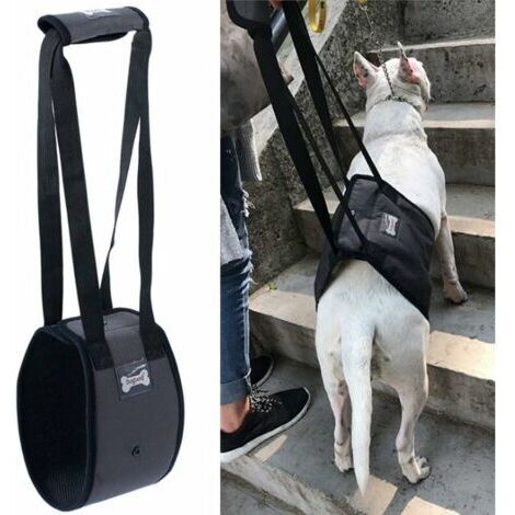 VtiziklHarnais de Levage de Chien, Harnais Auxiliaire de Marche de Jambe Arrière d'Animal Familier, Harnais Réglable pour Chien - Aide à la Mobilité et à la Rééducation, S