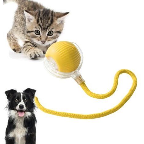 VtiziklJouets interactifs pour chats, jouets électriques pour chats avec fonction de réveil, adaptés aux chiens et chats de petite et moyenne taille