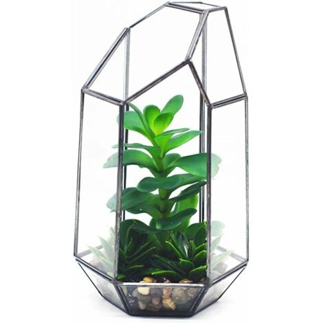 VURAHOME - 5.5in Verre Géométrique Terrarium Irrégulier Géométrique En Verre Clair Planteur Succulent Titulaire Pot De Fleur Air Plantes Titulaire Fenêtre (Pas De Plantes)
