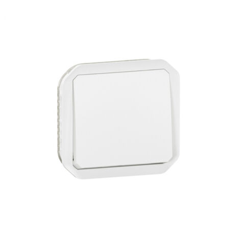 vv 10ax blanc compo