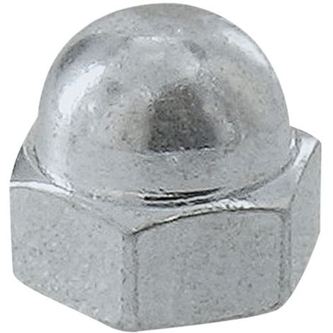 VYNEX - Ecrou borgne acier zingue ø10mm x2