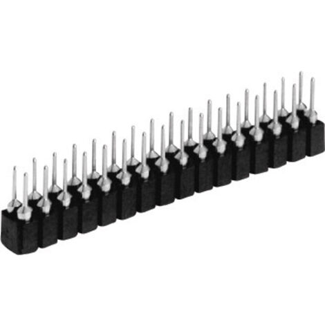 W & P Products Buchsenleiste (Präzision) Anzahl Reihen: 2 Polzahl je Reihe: 2 257-004-2-50-00-6 1 St