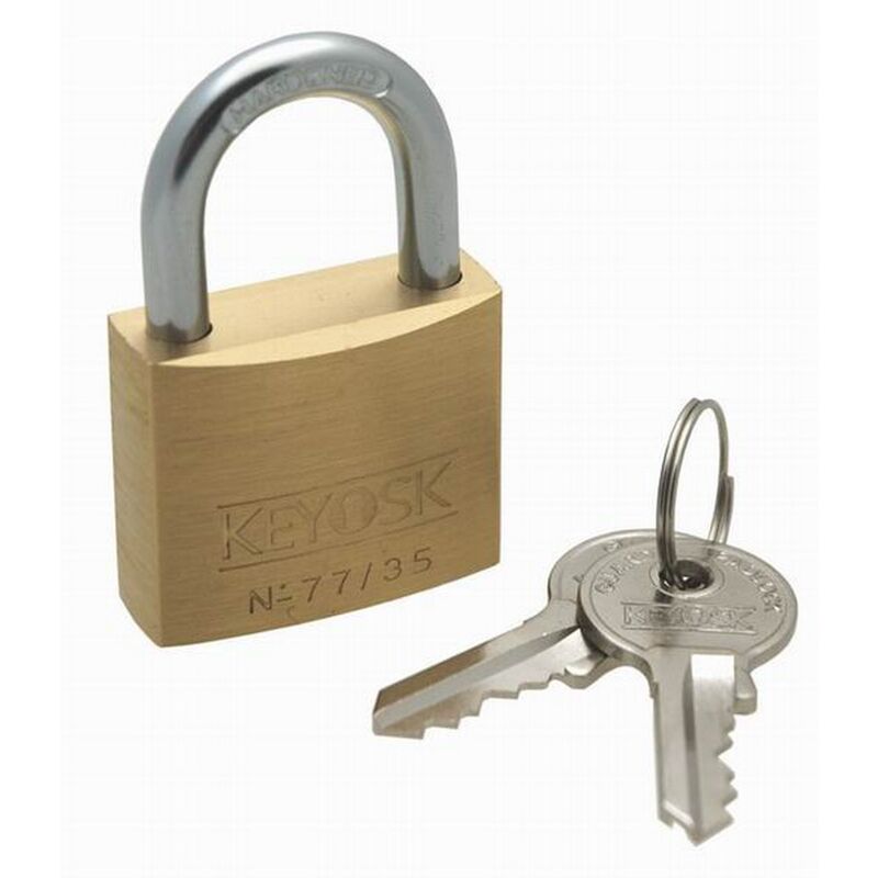 W4 - Padlock With 2 Keys (One Size) (Gold/Silver) - Gold/Silver