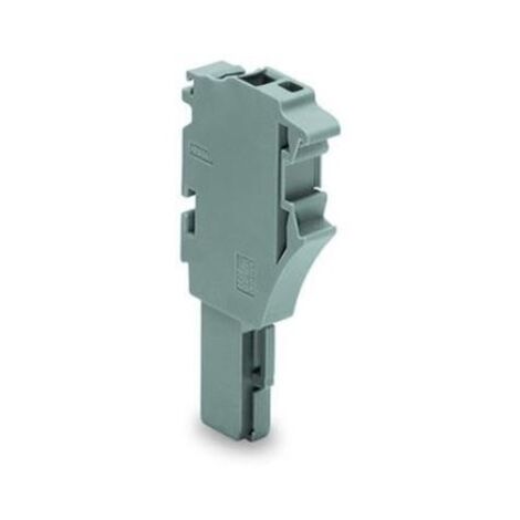 Wago 2022-101 Buchse 1P 2,5 mm ≤ grau