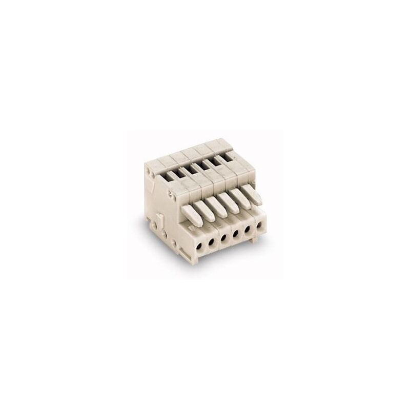 Wago - 733-106 Female connector for 1 conductor - 100% reverse protection - 0.5 mm≤ - Pitch 2.5 mm - 6 poles