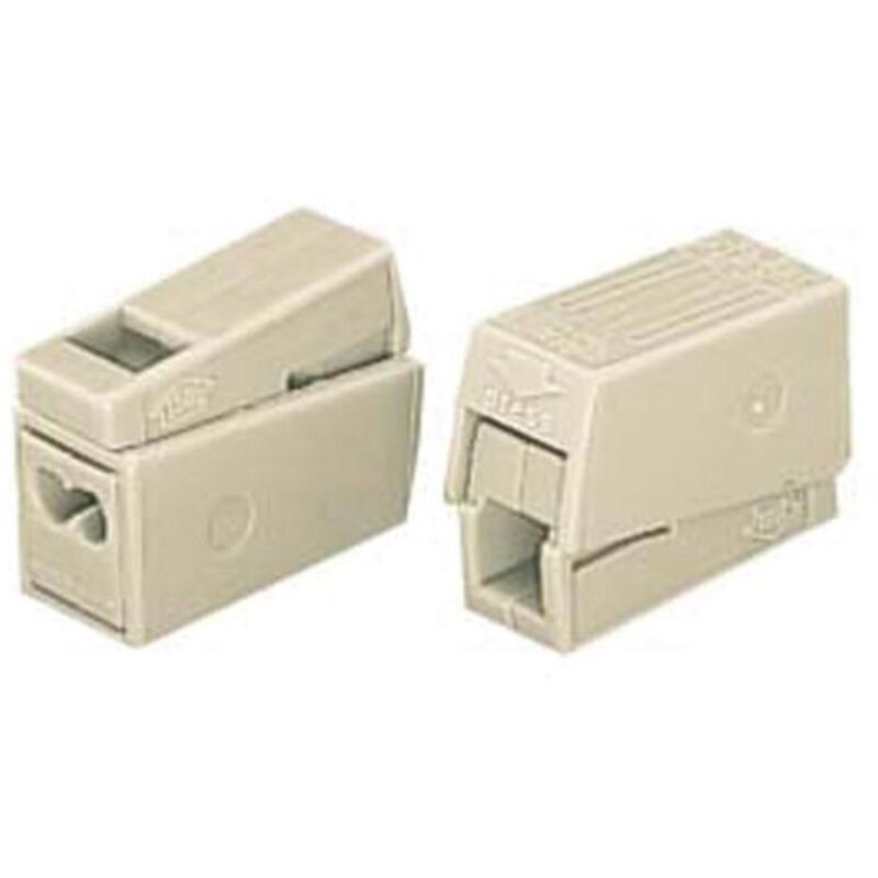 Wago - borne pour luminaires 2.5mm, 2 rigides - 1 souple, 105°, blanc