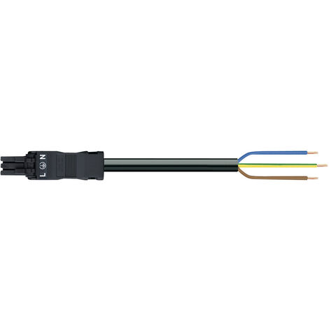 WAGO  Netz-Anschlusskabel Netz-Buchse - offene Kabelenden Gesamtpolzahl: 2 + PE Schwarz  1 St.