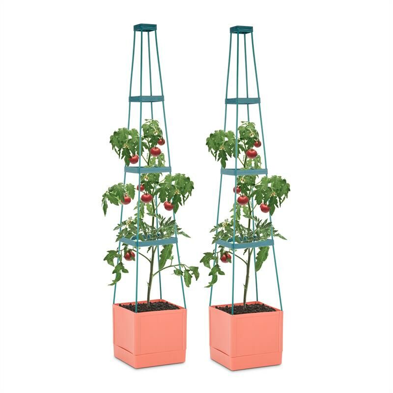 

Tomato Tower Set 2 Macetas para tomate 25x150x25cm Tutor PP