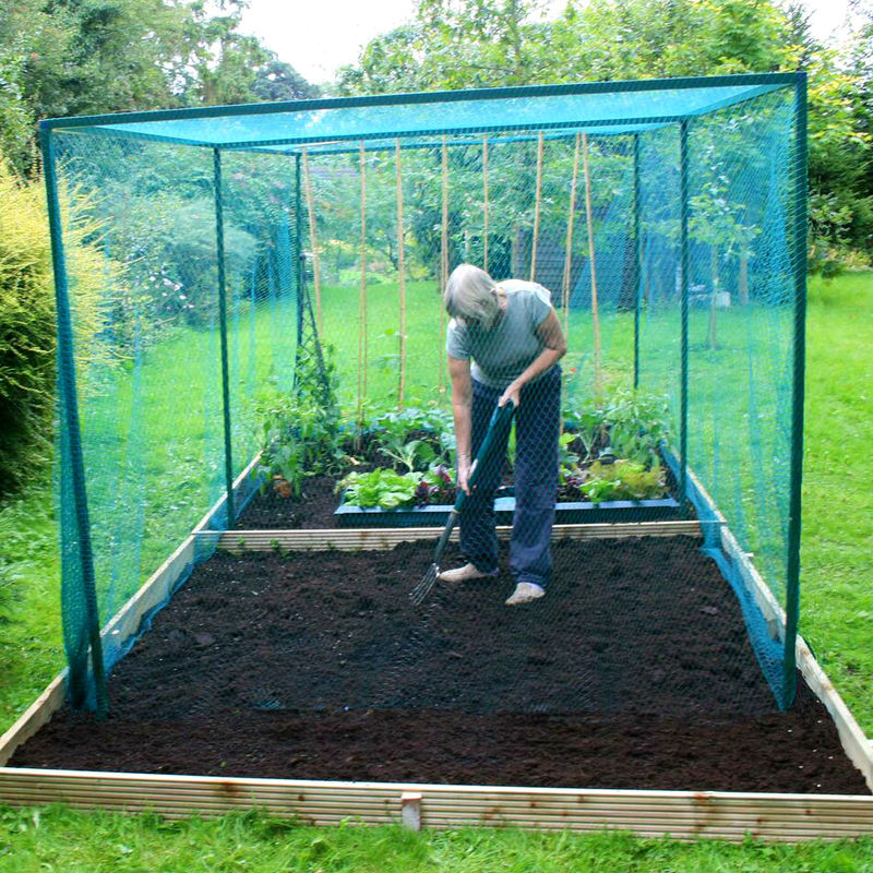 Walk In Fruit Cage (No Door) - 4m x 2m x 2m high