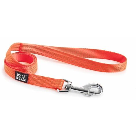 Walk R Cise Reflect A Lead - Medium (755966)