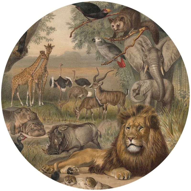 

Círculo de papel pintado Animals of Africa 190 cm - Multicolor - Wallart