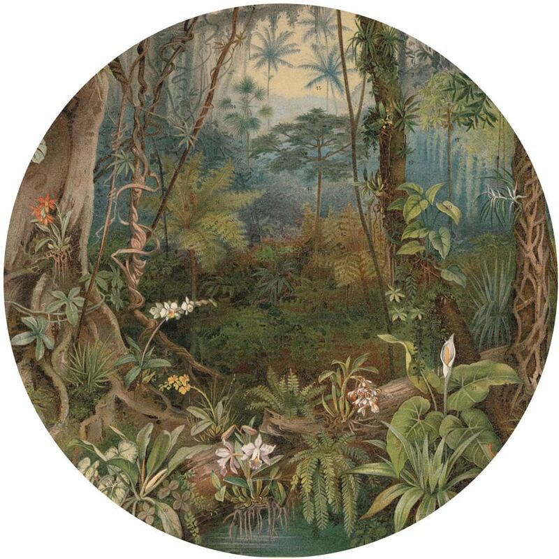 

Círculo de papel pintado In the Jungle 190 cm - Multicolor - Wallart