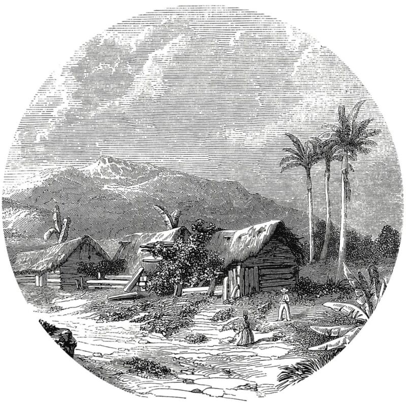 

Círculo de papel pintado Landscape of Guadeloupe 142,5 cm - Negro - Wallart