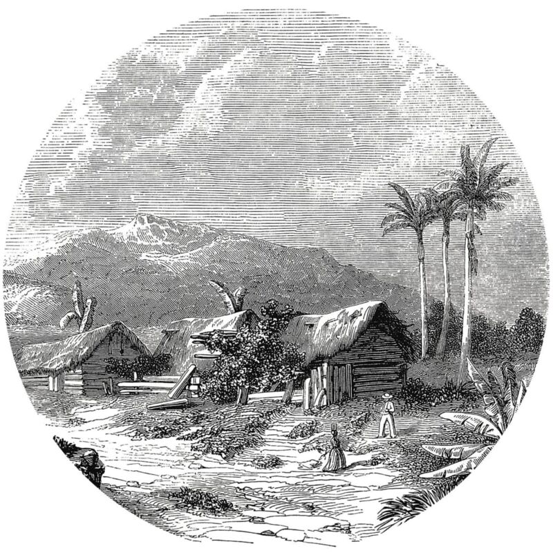 

Círculo de papel pintado Landscape of Guadeloupe 190 cm - Negro - Wallart