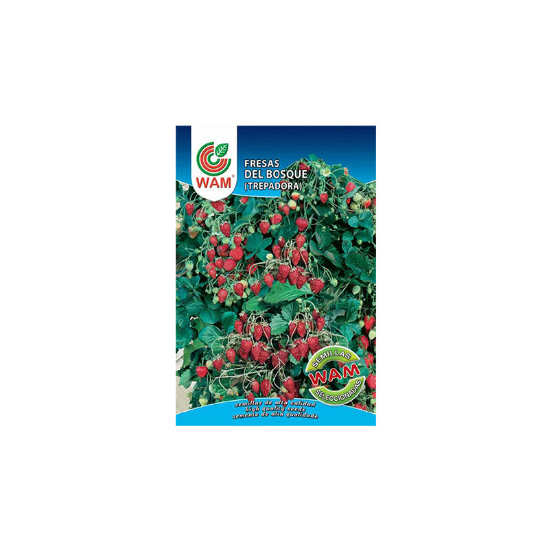WAM - Forest Strawberry Graines, sur 0,15 g classique