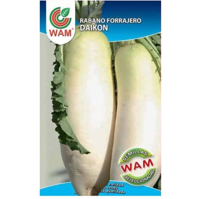 WAM - Graines Forage Daikon - Box 250 gr