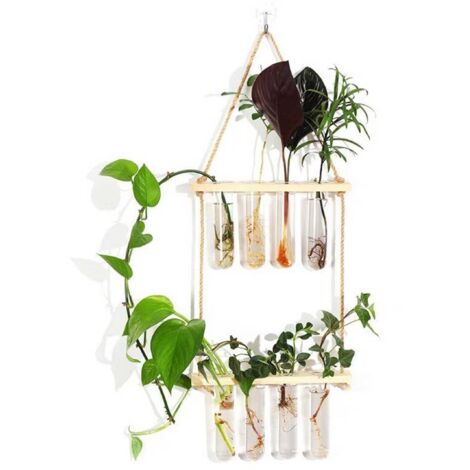 Wand-Terrarium mit zweistöckigem Holzständer und Reagenzglas-Gefäßen – Hydroponische Anzuchtstation und Deko für Stecklinge, perfekt für Pflanzenfans