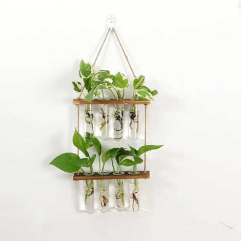 Wand-Terrarium mit zweistöckigem Holzständer und Reagenzglas-Gefäßen – Hydroponische Anzuchtstation und Deko für Stecklinge, perfekt für Pflanzenfans