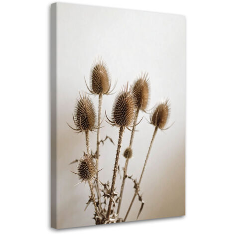 Wandbild Getrocknete Disteln Pflanzen in Beige 60x90 cm