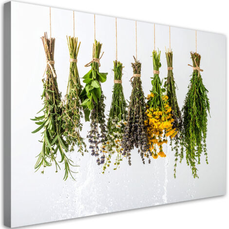 Wandbild Getrocknete Kräuter Gewürze 60x40 cm