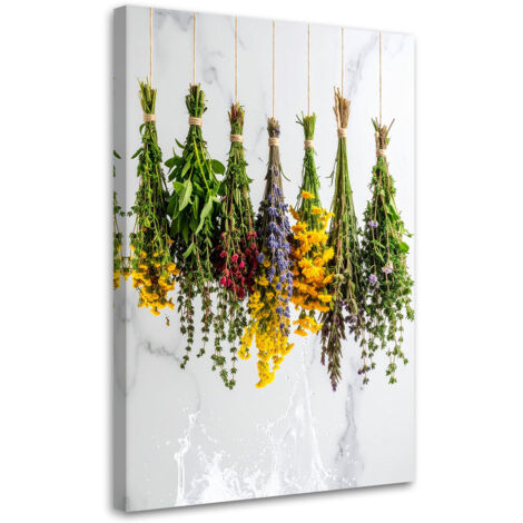Wandbild Hängende getrocknete Kräuter Pflanzen 40x60 cm