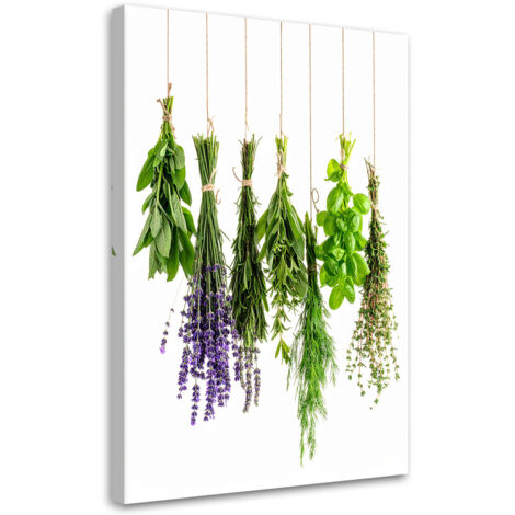 Wandbild Hängende Kräuter 60x90 cm