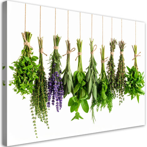 Wandbild Hängende Kräuter Gewürze Pflanzen 60x40 cm