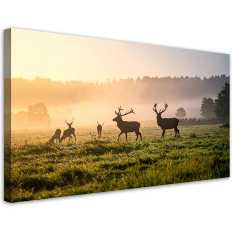 Wandbild Hirsche auf der Brunft im Nebel 80x40 cm