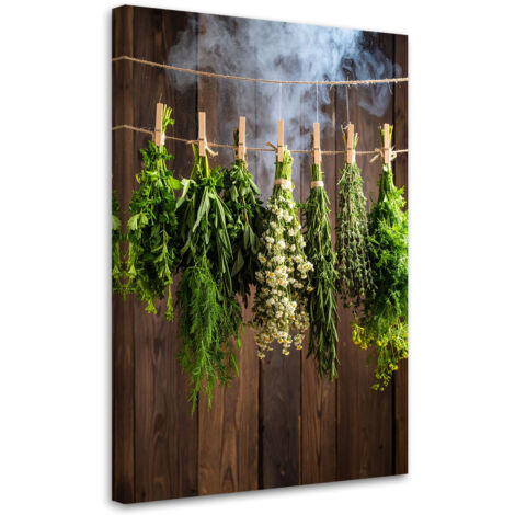 Wandbild Kräuter Gewürze Pflanzen 40x60 cm