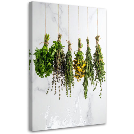 Wandbild Kräuter Gewürze Pflanzen 40x60 cm
