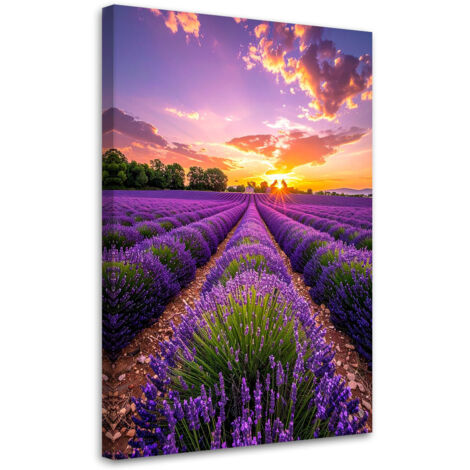 Wandbild Lavendelfeld Wiese violett 40x60 cm