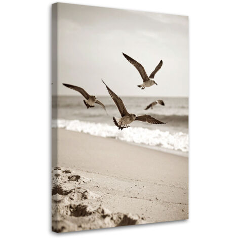 Wandbild Möwen Vögel Meer Strand Natur 60x90 cm