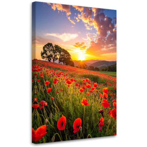 Wandbild Mohnfeld Blumen Sonnenuntergang 40x60 cm